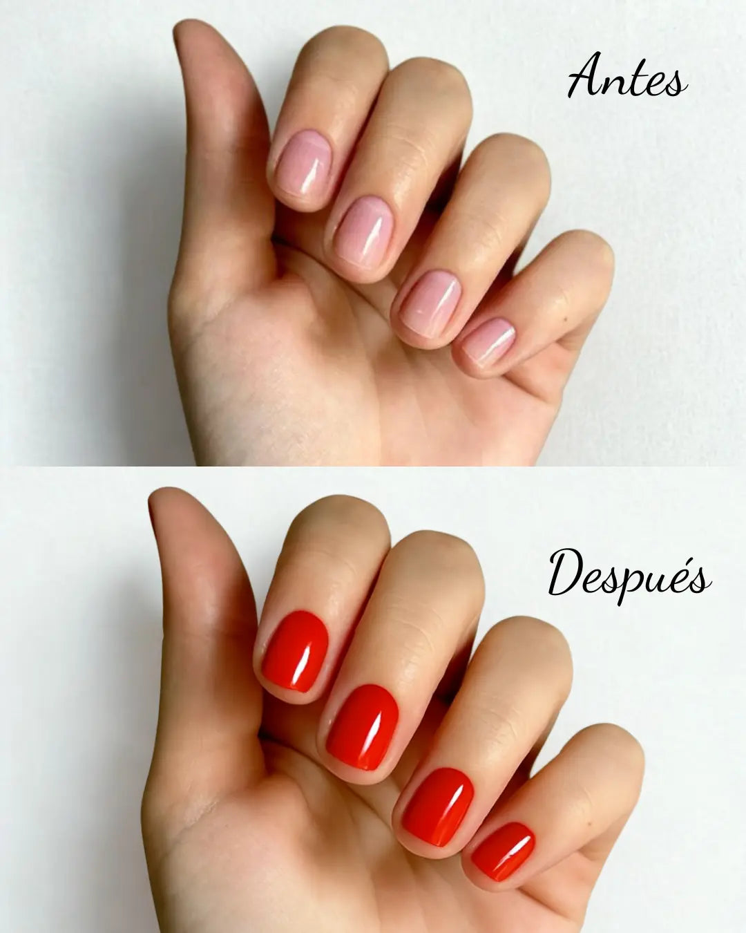 UÑIKA Daily UÑIKA